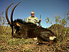 huge-sable-antelope-trophy.jpg