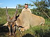 hunt-east-african-eland.JPG