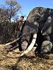 hunt-elephant-zimbabwe.jpeg