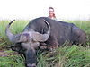 hunt-nile-buffalo.JPG