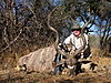 hunting-311.jpg