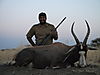 hunting-51.JPG