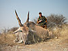 hunting-53.jpg