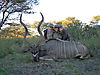 hunting-africa-1149.JPG