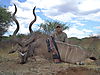 hunting-africa-1176.JPG