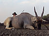 hunting-africa-1180.JPG