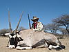 hunting-africa-1186.JPG