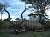 hunting-africa-1227.JPG