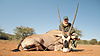 hunting-africa-1251.JPG