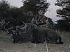 hunting-africa-1279.JPG