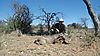 hunting-africa-1287.JPG