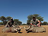 hunting-africa-1296.JPG