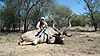 hunting-africa-1379.JPG