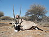 hunting-africa-1391.JPG