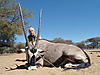 hunting-africa-1392.JPG