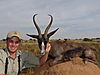 hunting-black-springbok.jpeg