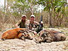 hunting-boars.JPG