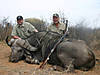 hunting-buffalo-02.jpg