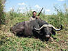 hunting-buffalo-43.jpg