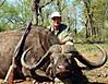 hunting-buffalo.jpg