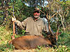 hunting-bushbuck.jpg