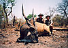 hunting-derby-eland-2.jpg