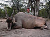 hunting-eland-011.jpg