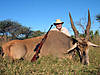 hunting-eland-04.jpg