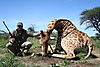 hunting-giraffe-031.JPG