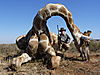 hunting-giraffe7.jpg