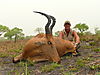 hunting-hartebeest-02.JPG