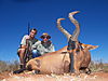 hunting-hartebeest2.jpg