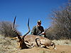 hunting-impala-031.JPG