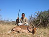 hunting-impala4.JPG