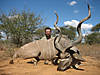 hunting-kudu-01.jpg