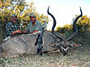 hunting-kudu4.jpg