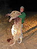 hunting-leopard-32.JPG