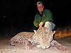 hunting-leopard-33.JPG