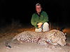 hunting-leopard-341.JPG