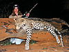 hunting-leopard8.jpg