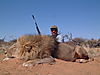 hunting-lion11.JPG