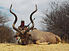 hunting-namibia-112.jpg