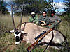 hunting-oryx1.jpg