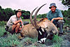 hunting-roan7.jpg