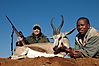 hunting-springboks.jpg