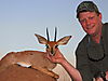 hunting-steenbok.jpeg