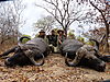 hunting-tanzania-07.jpeg