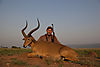 hunting-uganda-kob.jpg