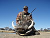 hunting-warthog-021.JPG