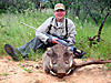 hunting-warthog-20.jpg